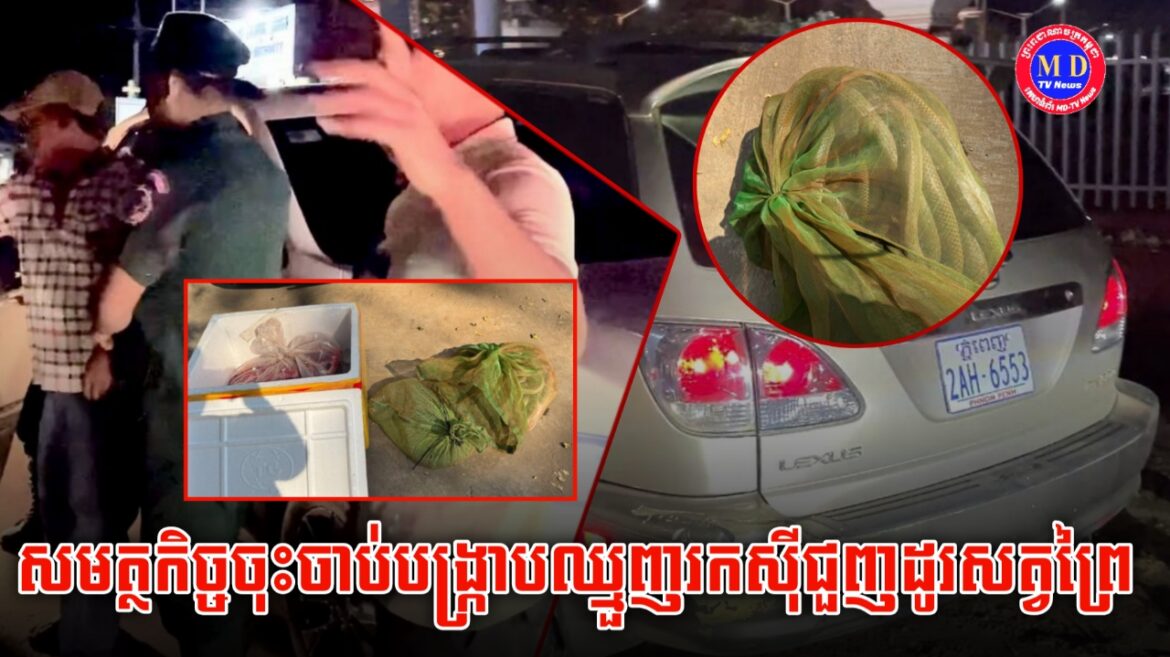 សមត្ថកិច្ចបង្ក្រាបរថយន្តដឹកសត្វព្រៃមួយគ្រឿងឃាត់ខ្លួនអ្នកបើកបរម្នាក់ បញ្ជូនទៅតុលាការដើម្បីចាត់ការតាមនីតិវិធីច្បាប់