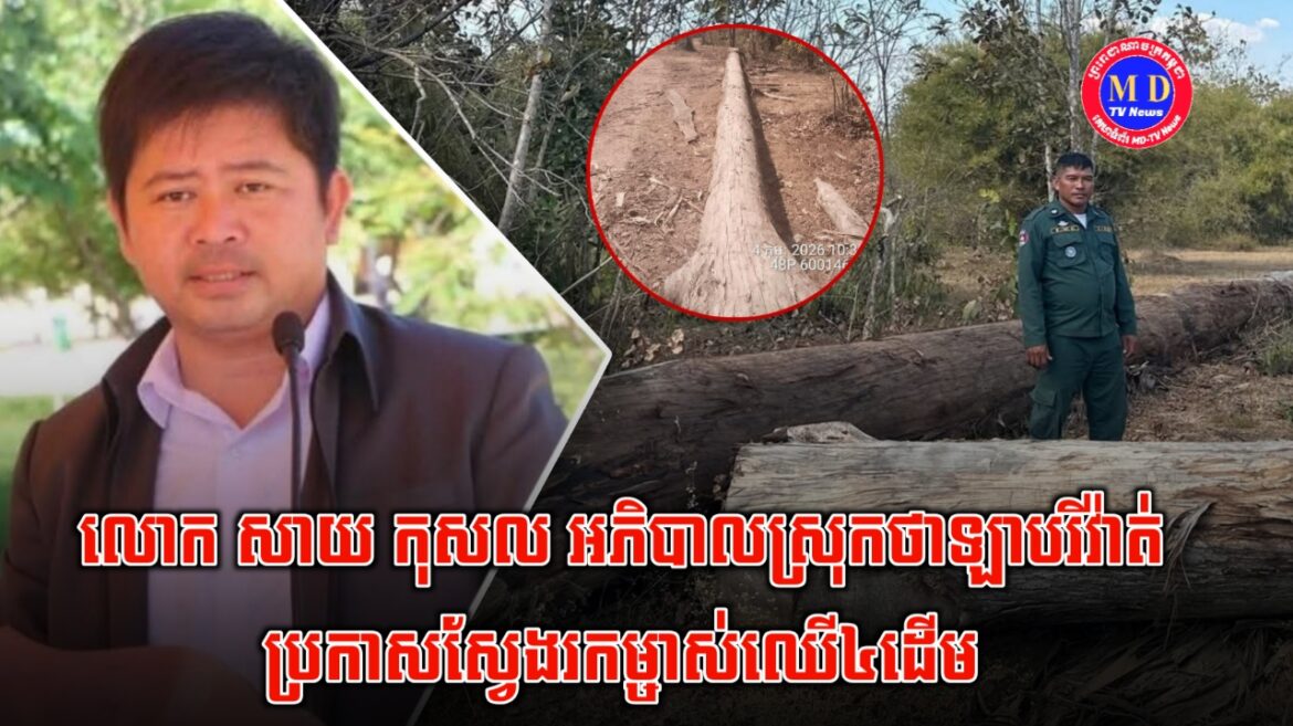 អភិបាលស្រុកថាឡាបរិវ៉ាត់ ប្រកាសស្វែងរកម្ចាស់ឈើទូកង៤ដើម ដែលផ្លុងចោលកណ្ដាលព្រៃ ខណៈបញ្ហាឈ្មួញឈើលាក់លៀមក្រោមលិខិតអនុញ្ញាត ត្រូវបានលាតត្រដាង..!