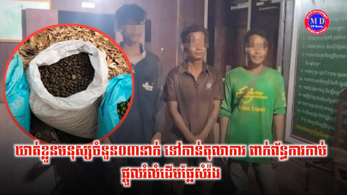 ឃាត់ខ្លួនមនុស្សចំនួន០៣នាក់ ក្រោយពីបានធ្វើសកម្មភាពកាប់ផ្ដួលរំលំដើមផ្លែសំរ៉ងខ្ចី នៅក្នុងតំបន់ការពារធម្មជាតិ !